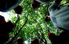 地域人ネットワーク