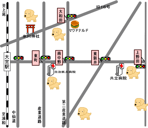 �����T�j�[�ƈꏏ�̌����U���R�[�X